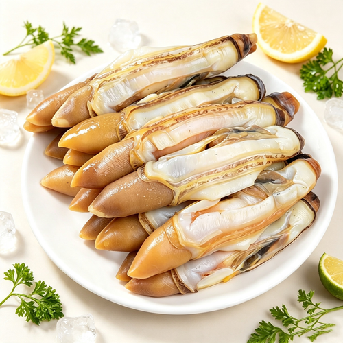 Razor Clam